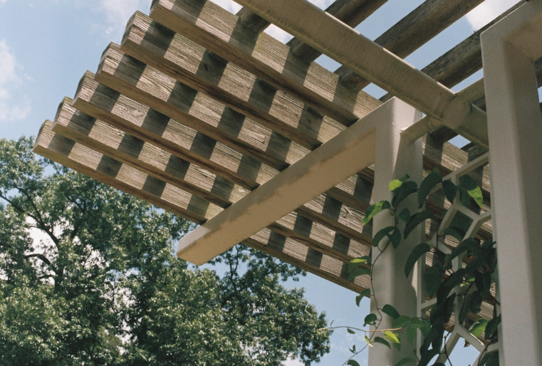 Custom pergola with decorative beams and climbing vines, showcasing personalized outdoor design elements for a backyard in Fort Worth, TX.