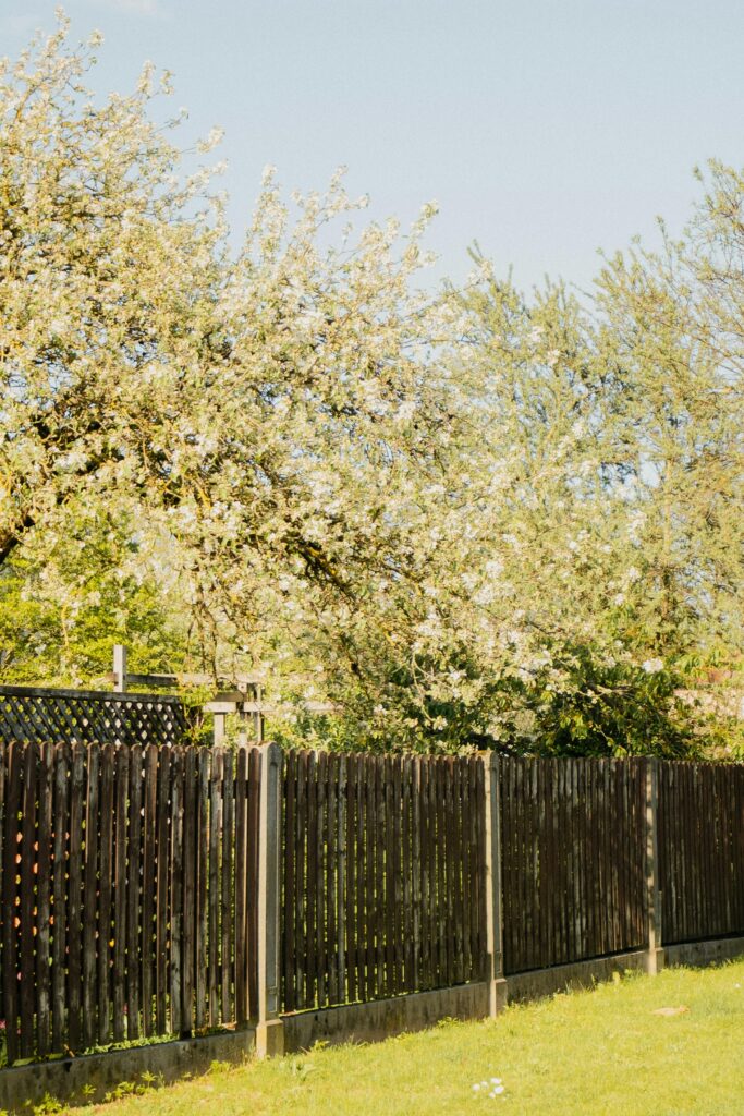 Dark-stained wooden fence in a sunny Fort Worth yard, protected by weather-resistant stain for long-lasting durability