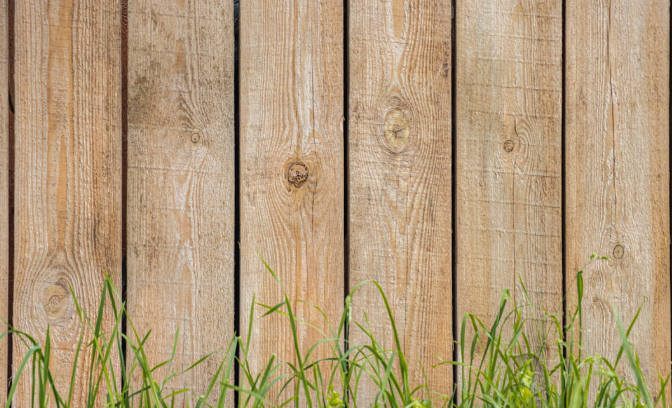 Fresh wood fence with green grass, ideal condition for starting a professional staining project in Fort Worth.