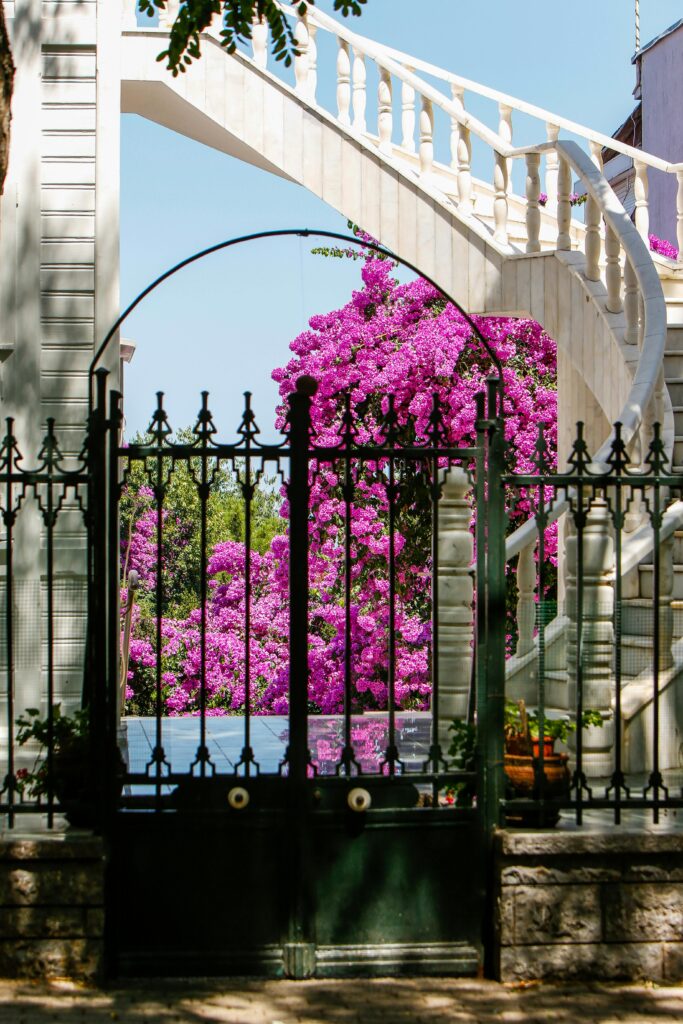 Elegant wrought iron gate in front of Fort Worth home with vibrant landscaping and added property.