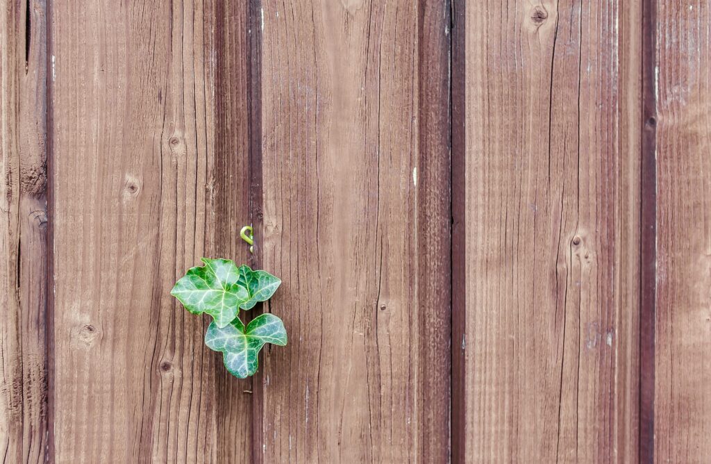 Close-up of rich wood stain on fence showing professional finish.