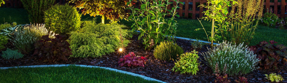 Beautifully lit garden landscape with shrubs, flowers, and mulch at night