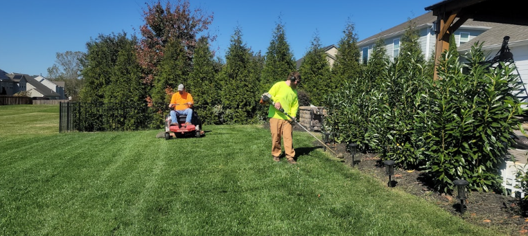 Professional lawn care and edging service in Fort Worth by Texas Patio and Fence, enhancing backyard landscapes with expert maintenance and design