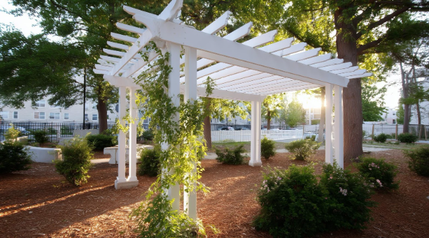 White outdoor pergola with climbing vines in a landscaped garden in Fort Worth